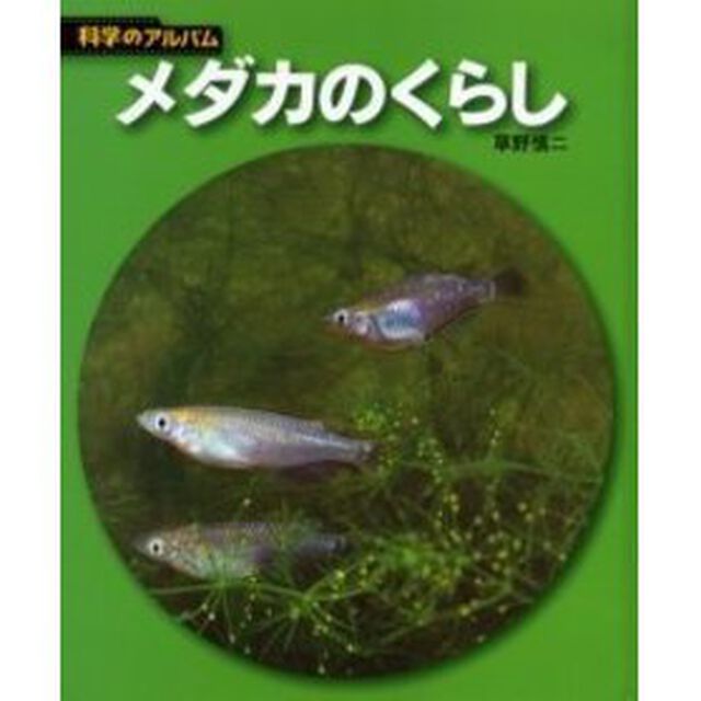 メダカのくらし　新装版