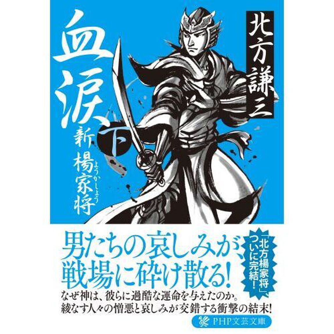 血涙　新楊家将　下