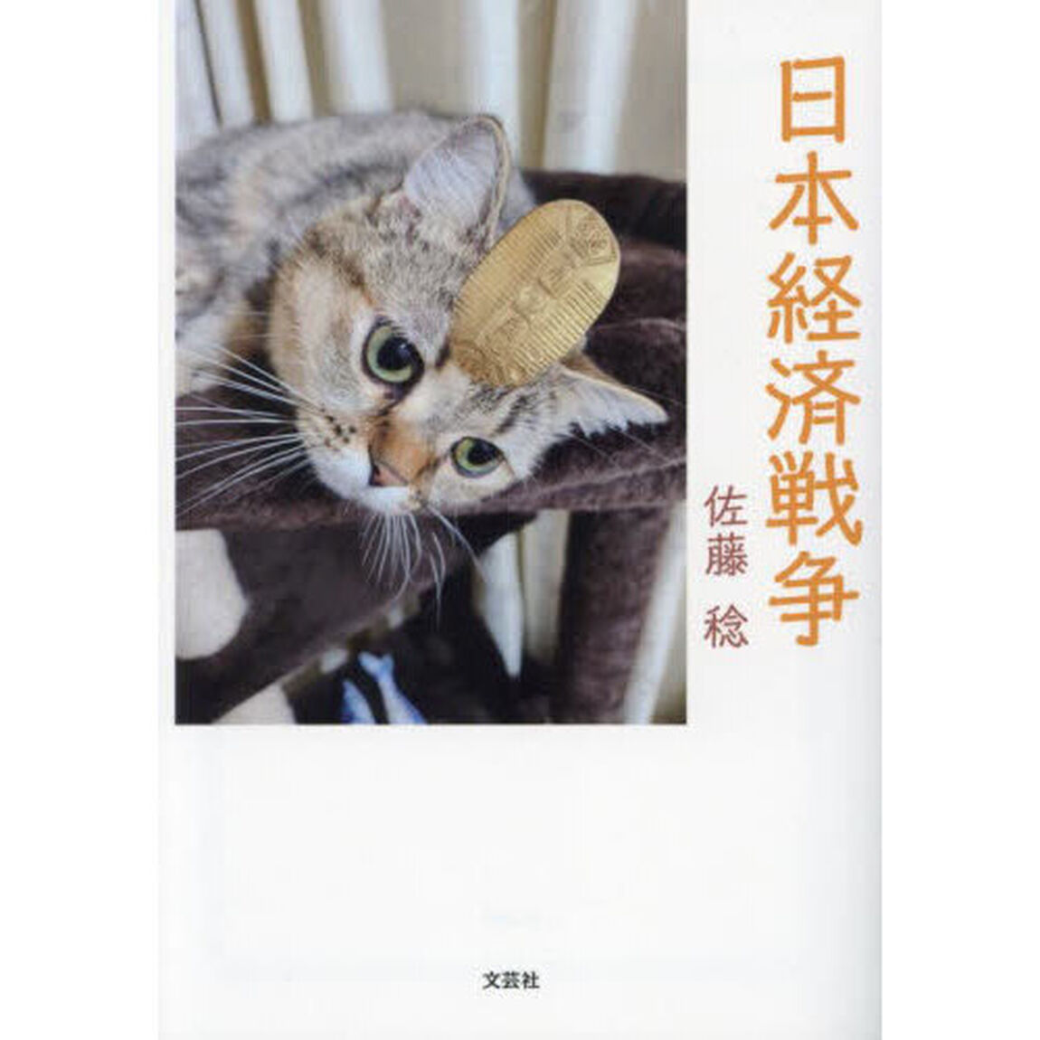 日本経済戦争