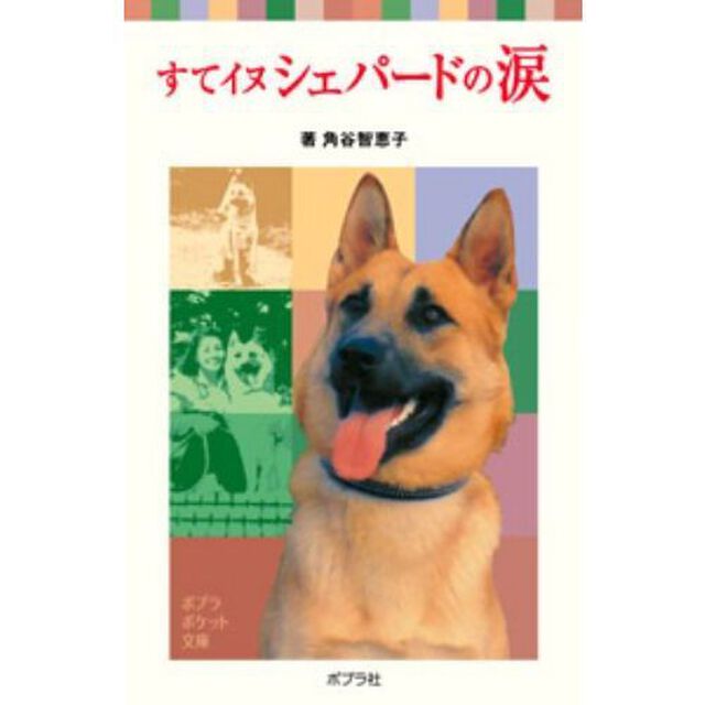 すてイヌシェパードの涙
