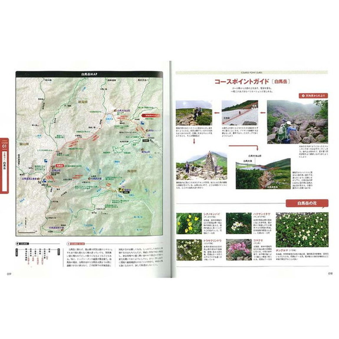 北アルプス登山詳細ルートガイド 改訂版 (エイムック 3993)「改訂版」