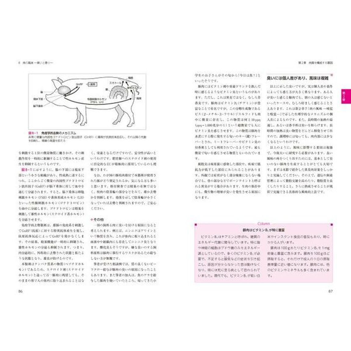 豚肉品質の科学と向上技術