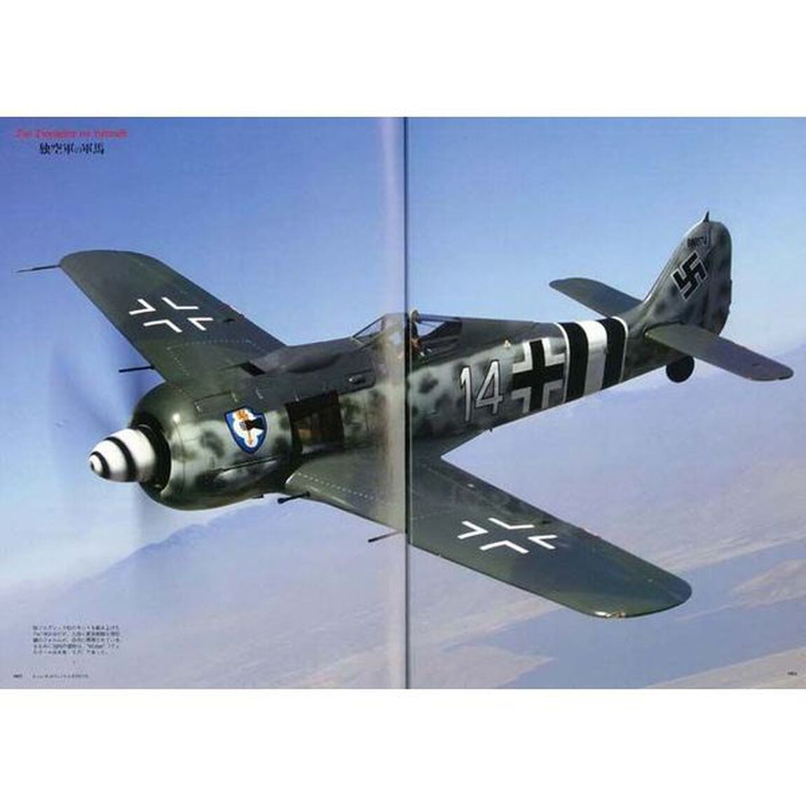 フォッケウルフＦｗ１９０　＆　ＢＭＷ８０１　第二次大戦機ＤＶＤアーカイブ　ドイツ空軍傑作戦闘機＋搭載エンジン徹底解析！