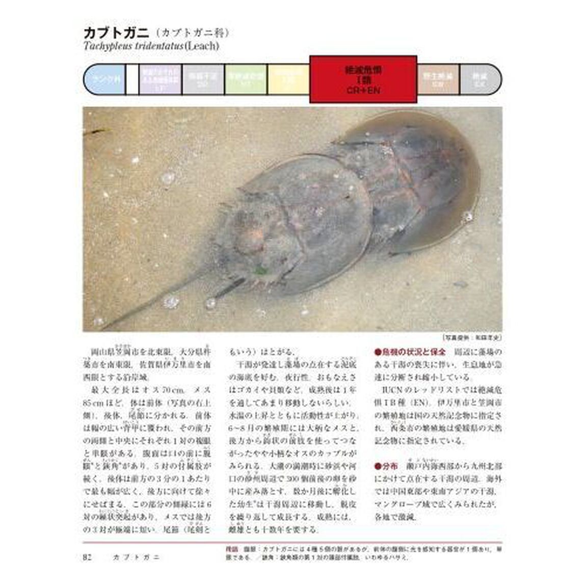 日本の絶滅危惧生物図鑑　環境省レッドリスト