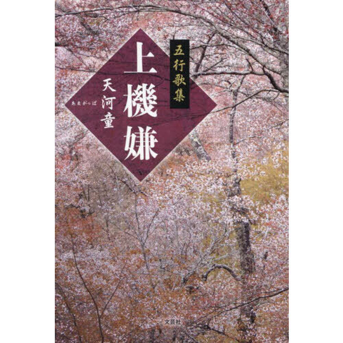 上機嫌　五行歌集