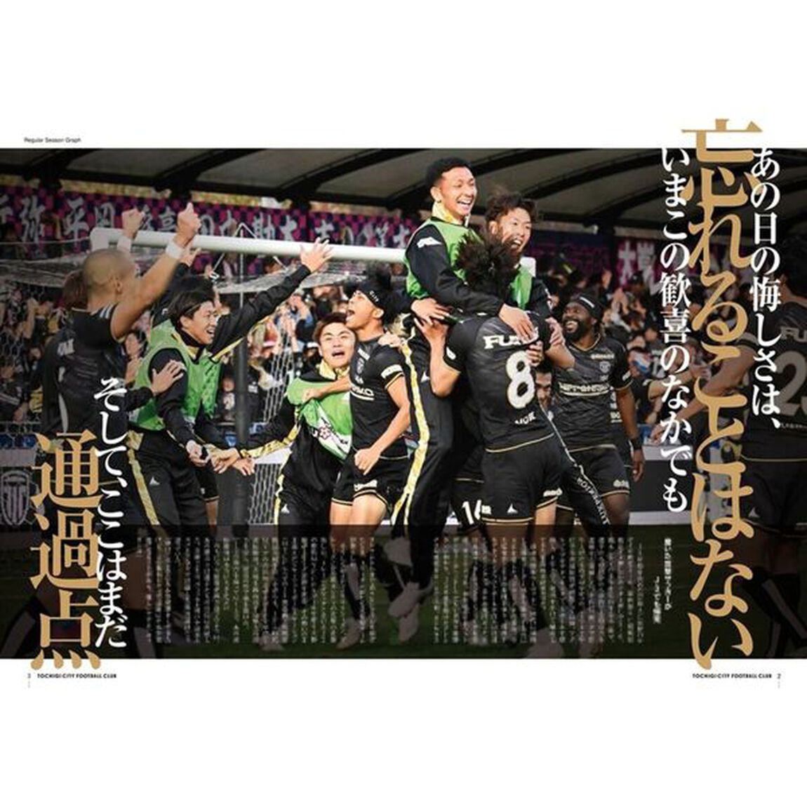 ＴＯＣＨＩＧＩ　ＣＩＴＹ　Ｊ３優勝Ｊ２昇格　３季連続昇格、そして夢舞台Ｊ１へ　永久保存版　報道記録集