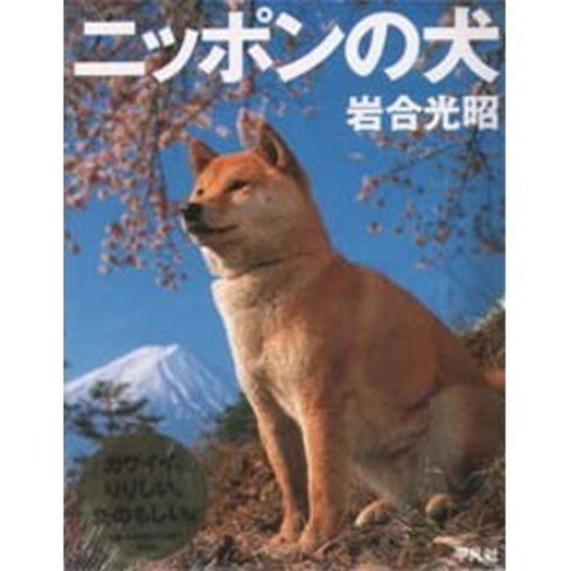 ニッポンの犬