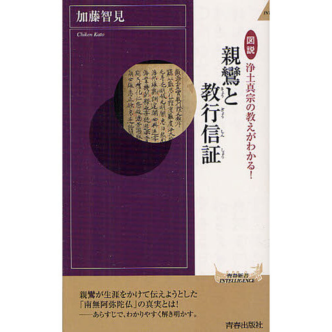 図説浄土真宗の教えがわかる！親鸞と教行信証
