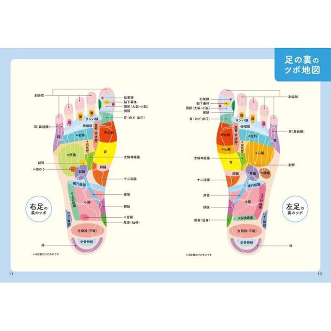 手ツボ・足ツボ大全　よくある不調が即ラクに！
