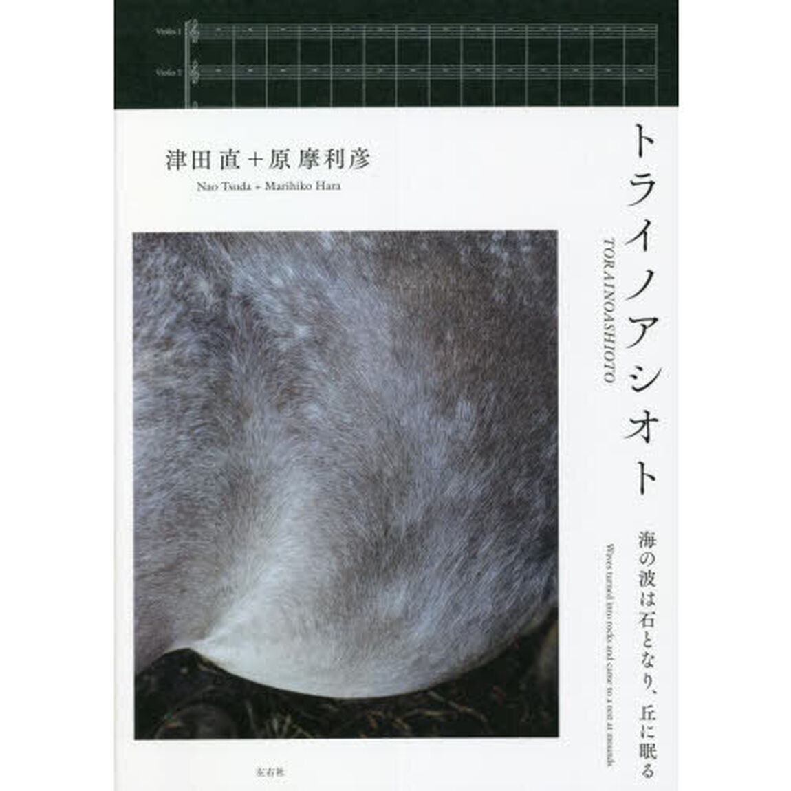 トライノアシオト　海の波は石となり、丘に眠る