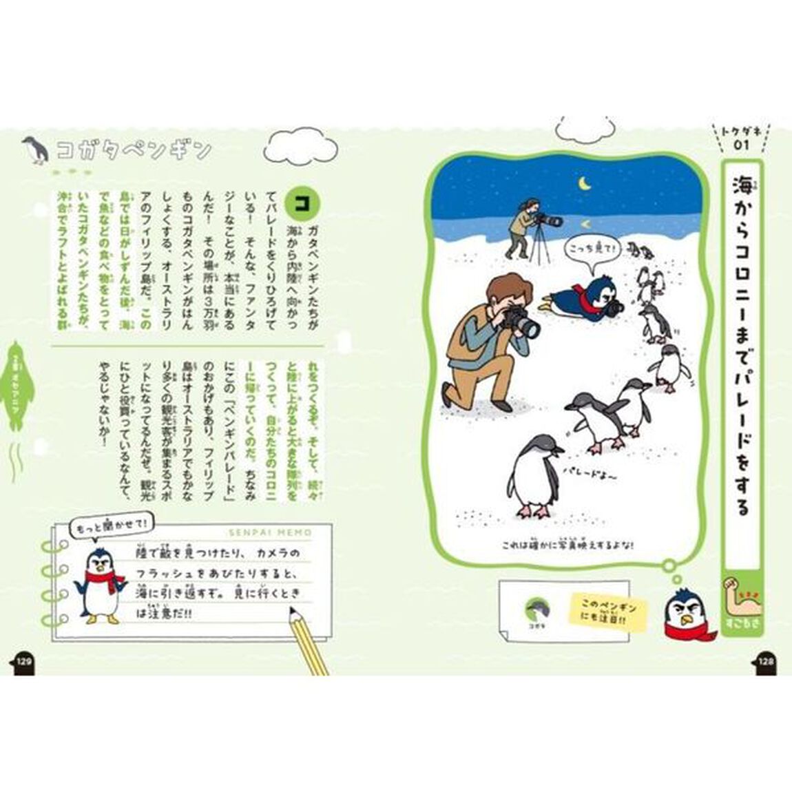 聞かせて！ペンギン先パイ