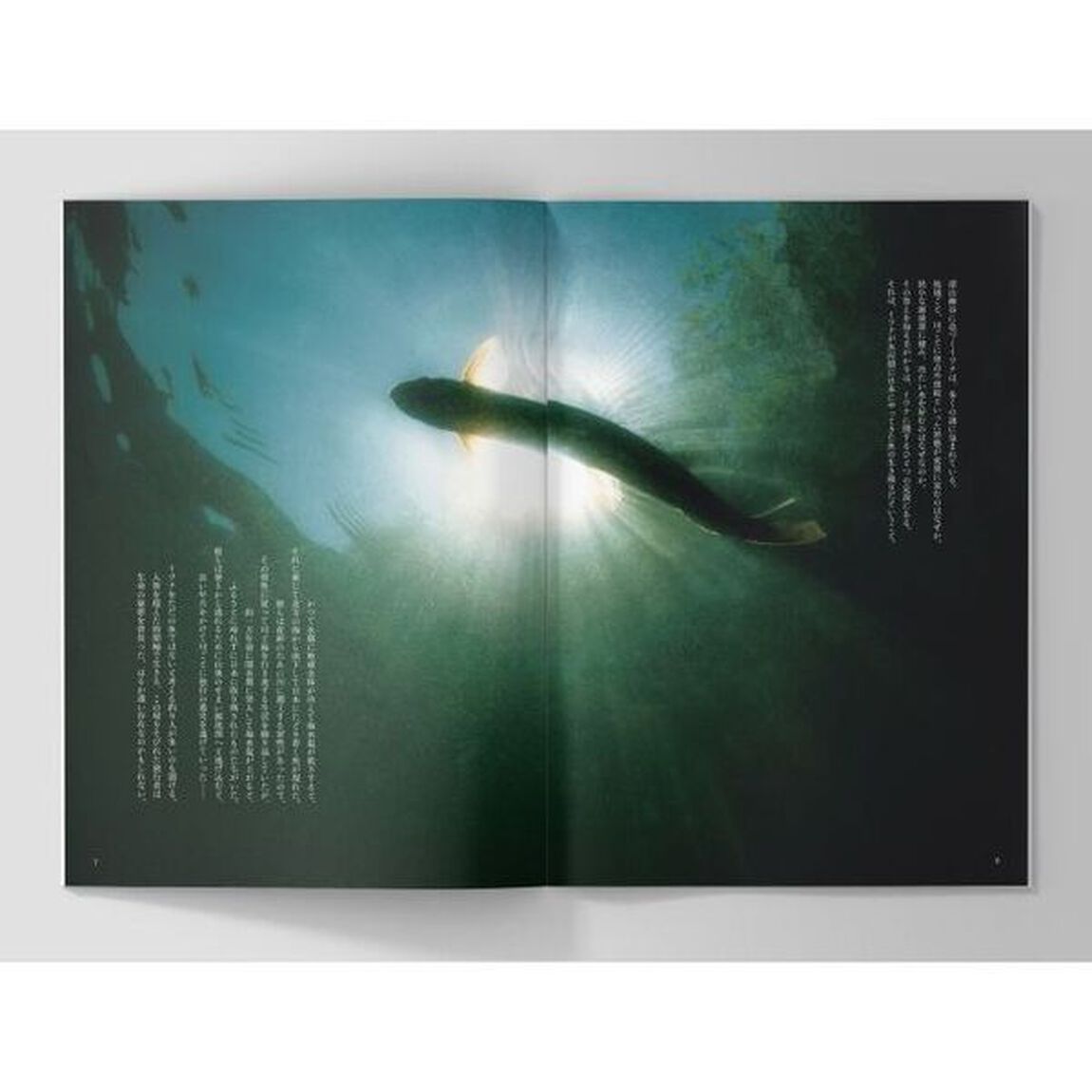 ミルクの中のイワナ　ＦＩＬＭ　ＢＯＯＫ　ａｓ　ｗｈｅｎ　ｙｏｕ　ｆｉｎｄ