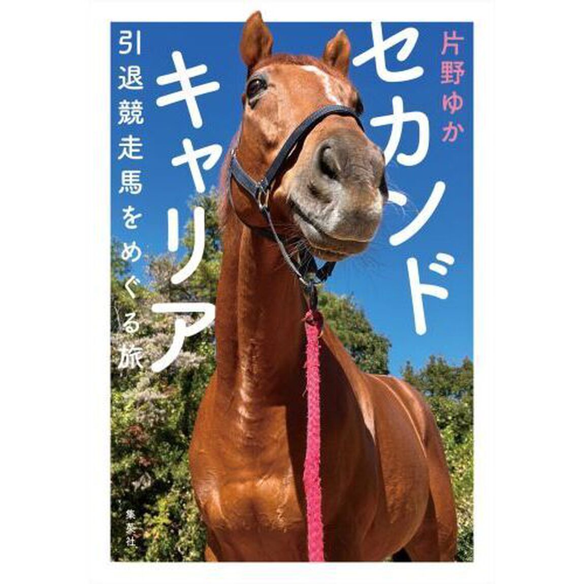 セカンドキャリア　引退競走馬をめぐる旅