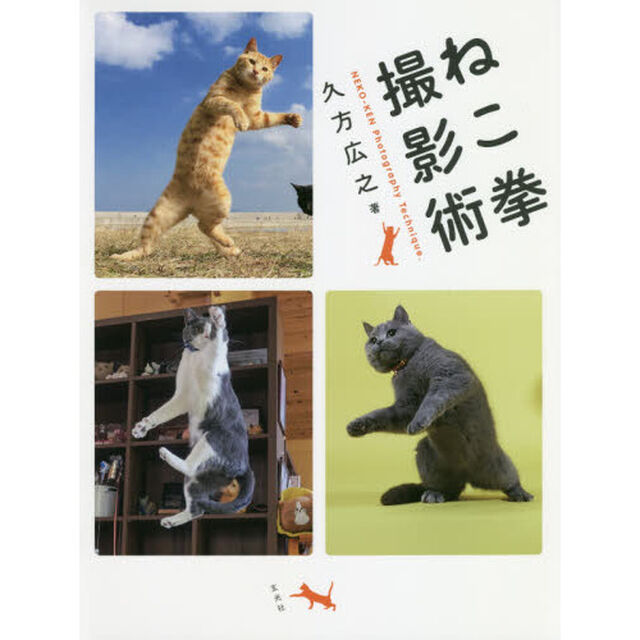 ねこ拳撮影術