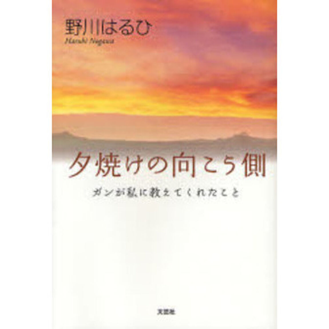 夕焼けの向こう側〜ガンが私に教えてくれた