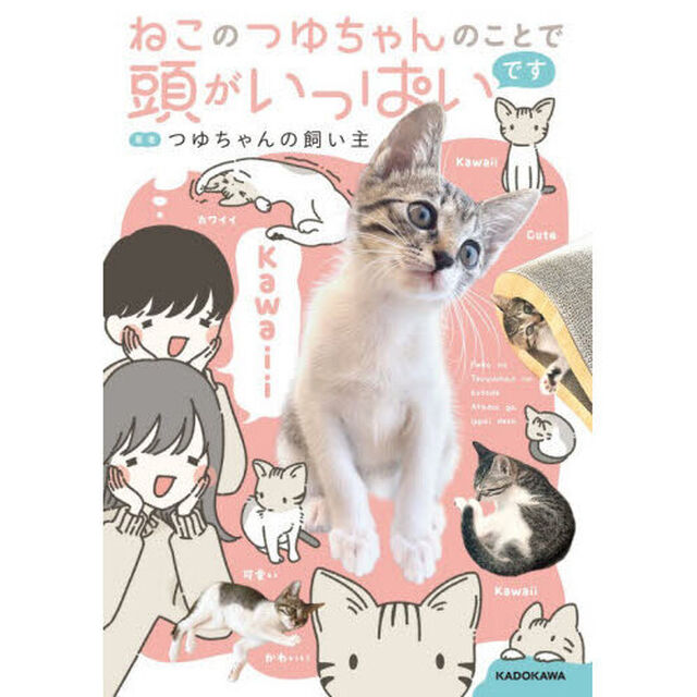 ねこのつゆちゃんのことで頭がいっぱいです