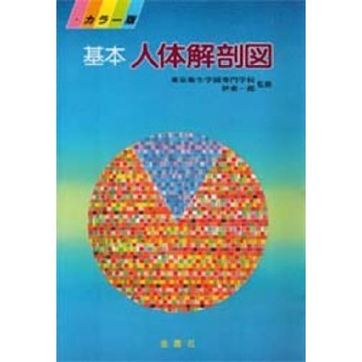 基本人体解剖図