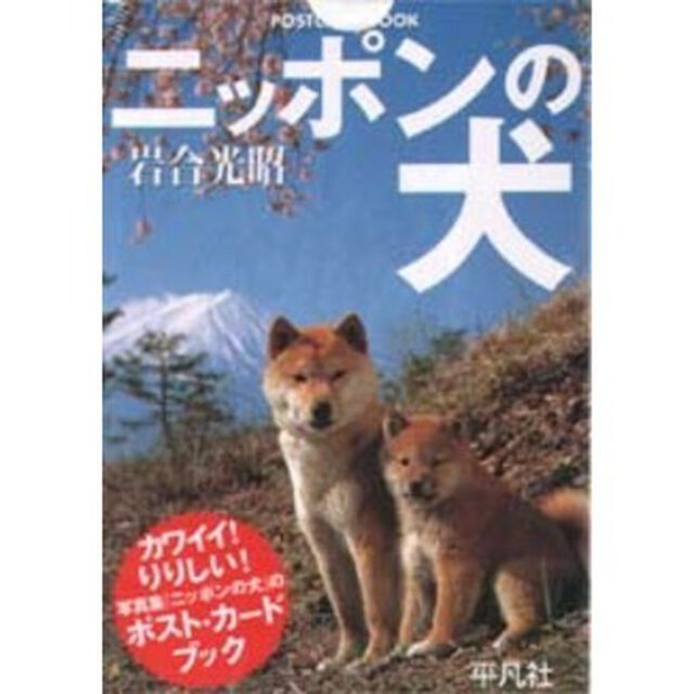 ニッポンの犬