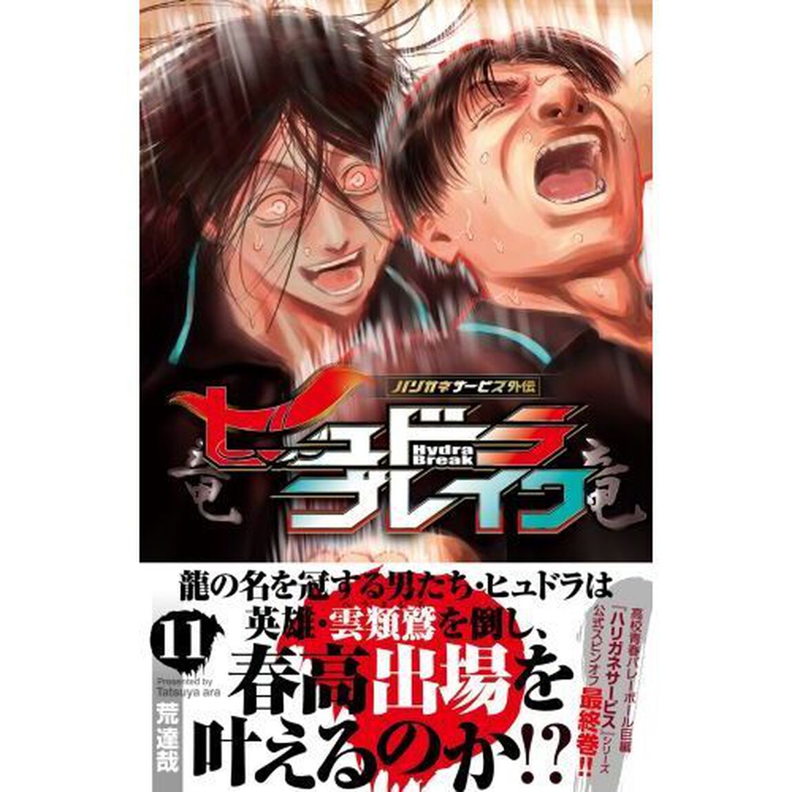 ヒュドラブレイク　ハリガネサービス外伝　１１