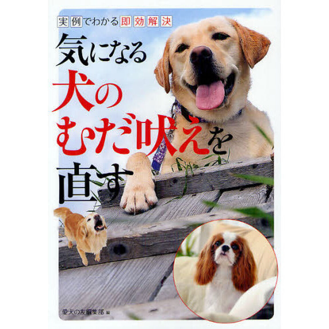 気になる犬のむだ吠えを直す　実例でわかる即効解決