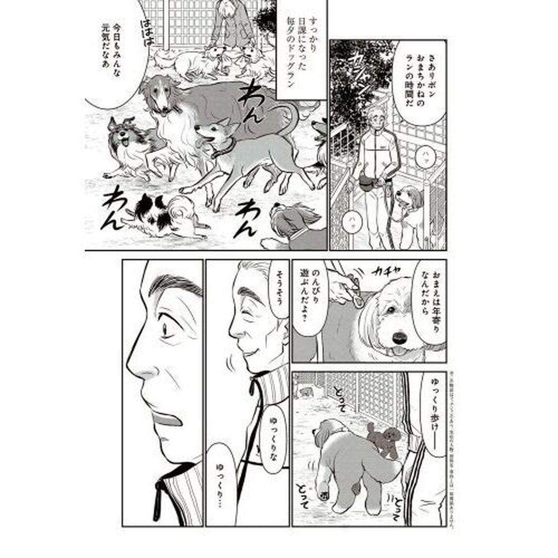 ＤＯＧ　ＳＩＧＮＡＬ　８