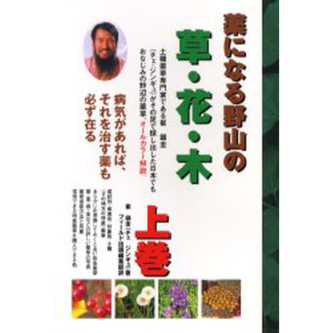 薬になる野山の草・花・木　病気があれば、それを治す薬も必ず在る　上巻