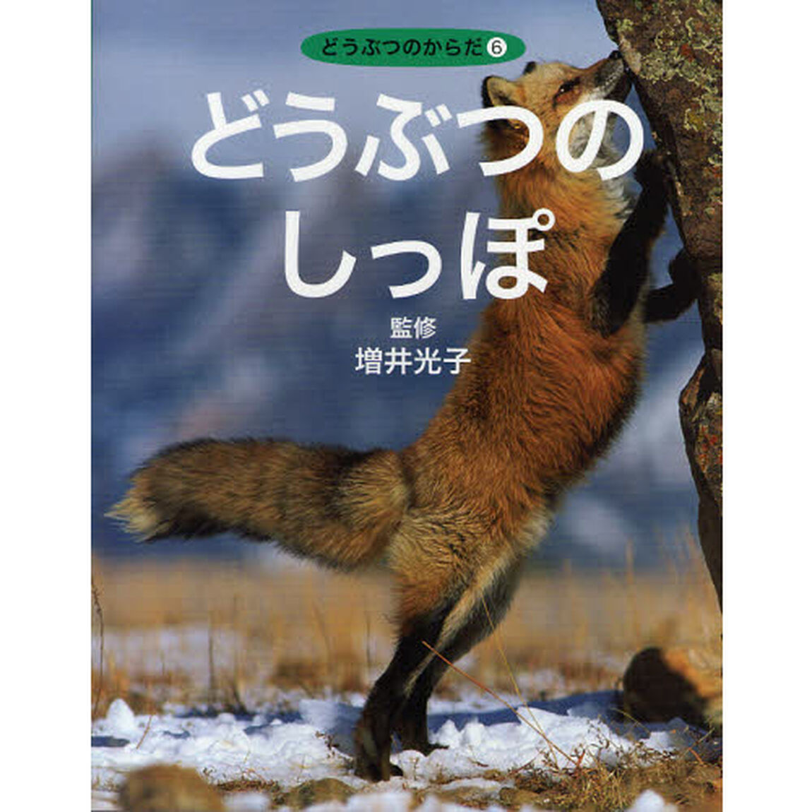 どうぶつのからだ　６「どうぶつのしっぽ」