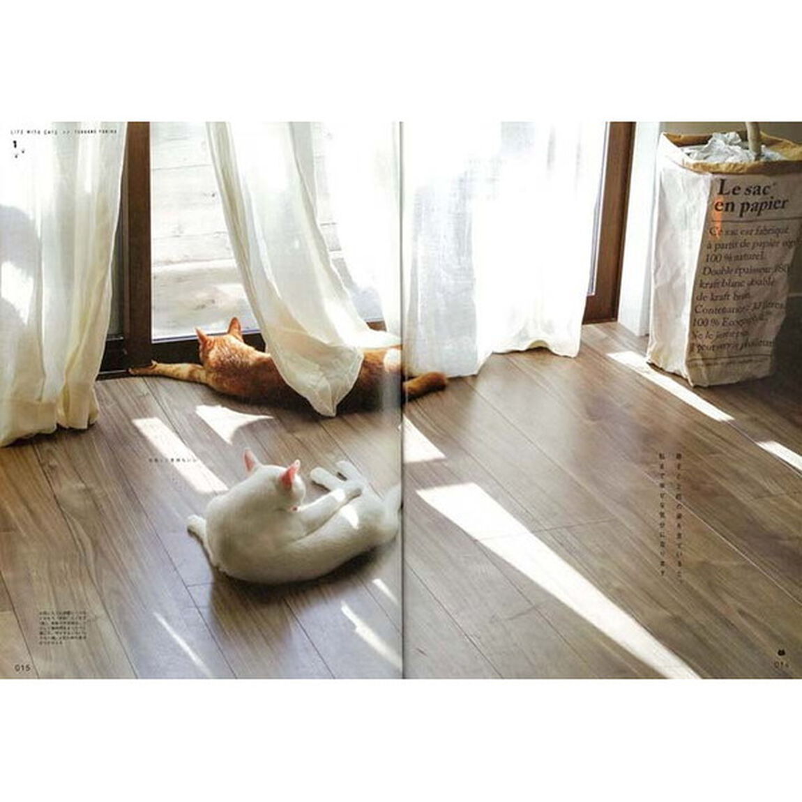 ねこが好き　ねこが、私達にくれるもの。