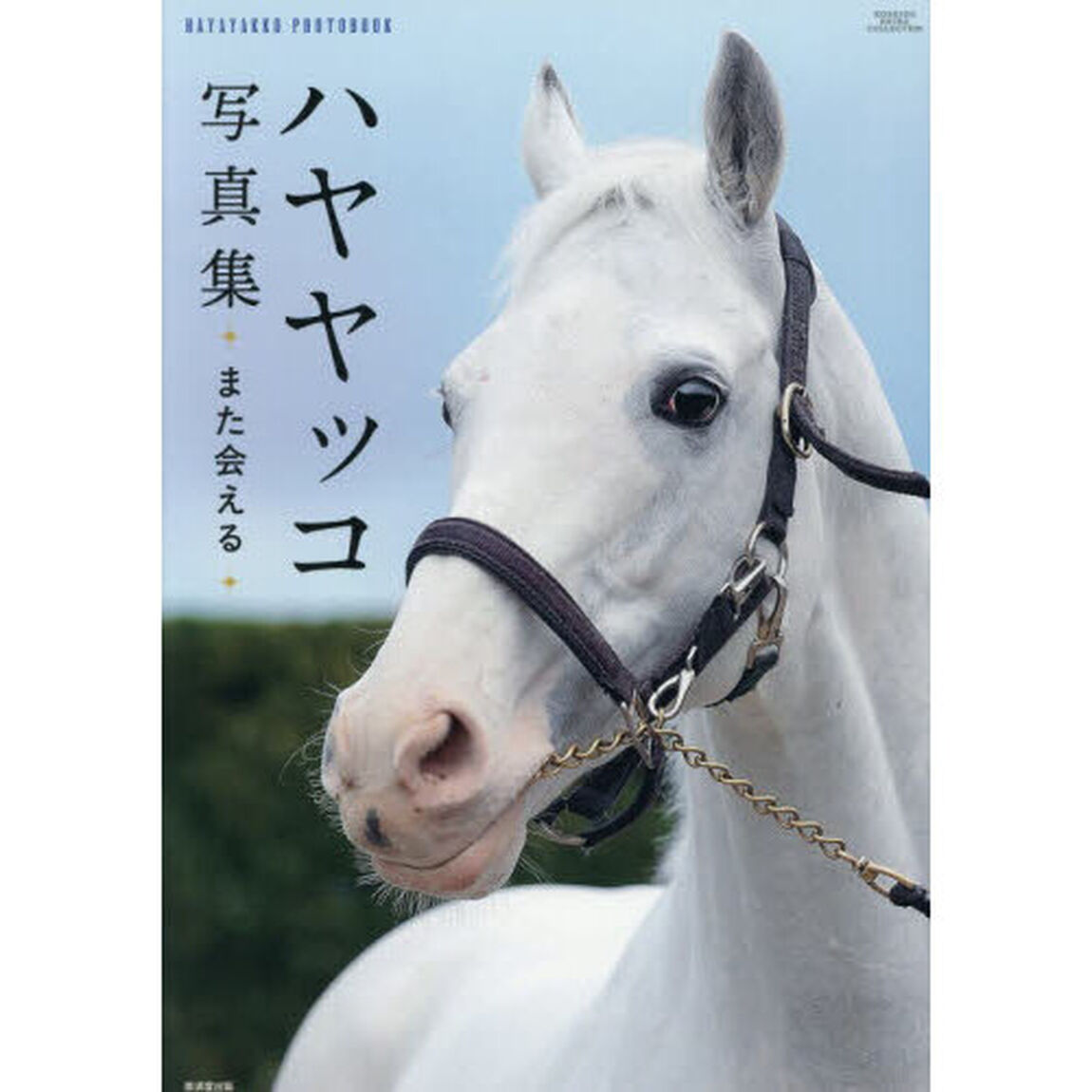 ハヤヤッコ写真集　また会える