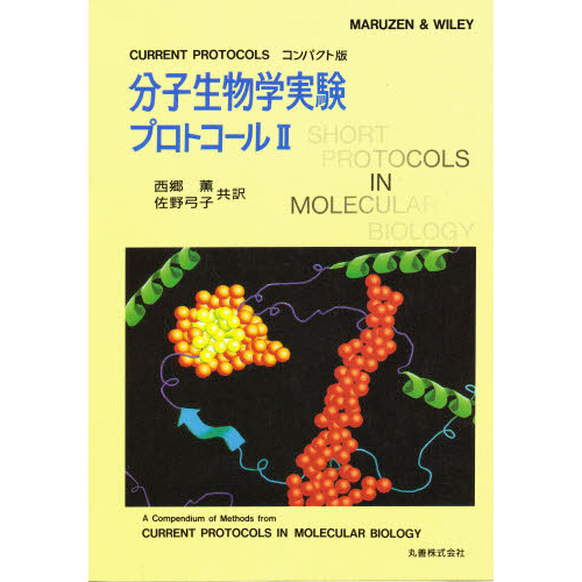 分子生物学実験プロトコール　ＣＵＲＲＥＮＴ　ＰＲＯＴＯＣＯＬＳコンパクト版　２