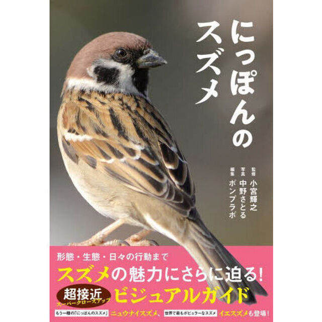 にっぽんのスズメ