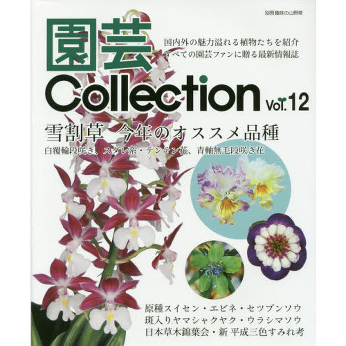 園芸Ｃｏｌｌｅｃｔｉｏｎ　Ｖｏｌ．１２「雪割草　原種スイセン　エビネ　セツブンソウ　すみれ」