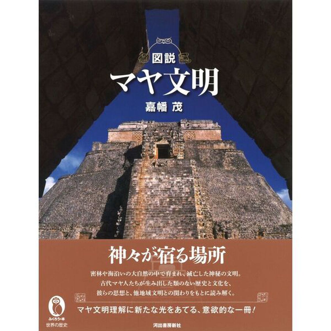 図説マヤ文明