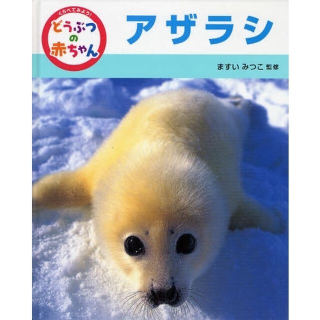 くらべてみよう！どうぶつの赤ちゃん　９「アザラシ」