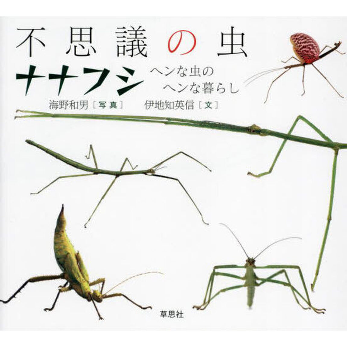 不思議の虫ナナフシ　ヘンな虫のヘンな暮らし