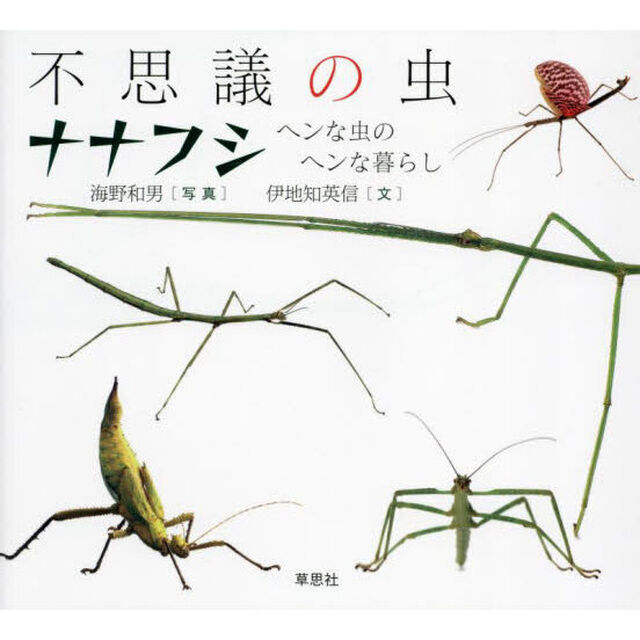不思議の虫ナナフシ　ヘンな虫のヘンな暮らし