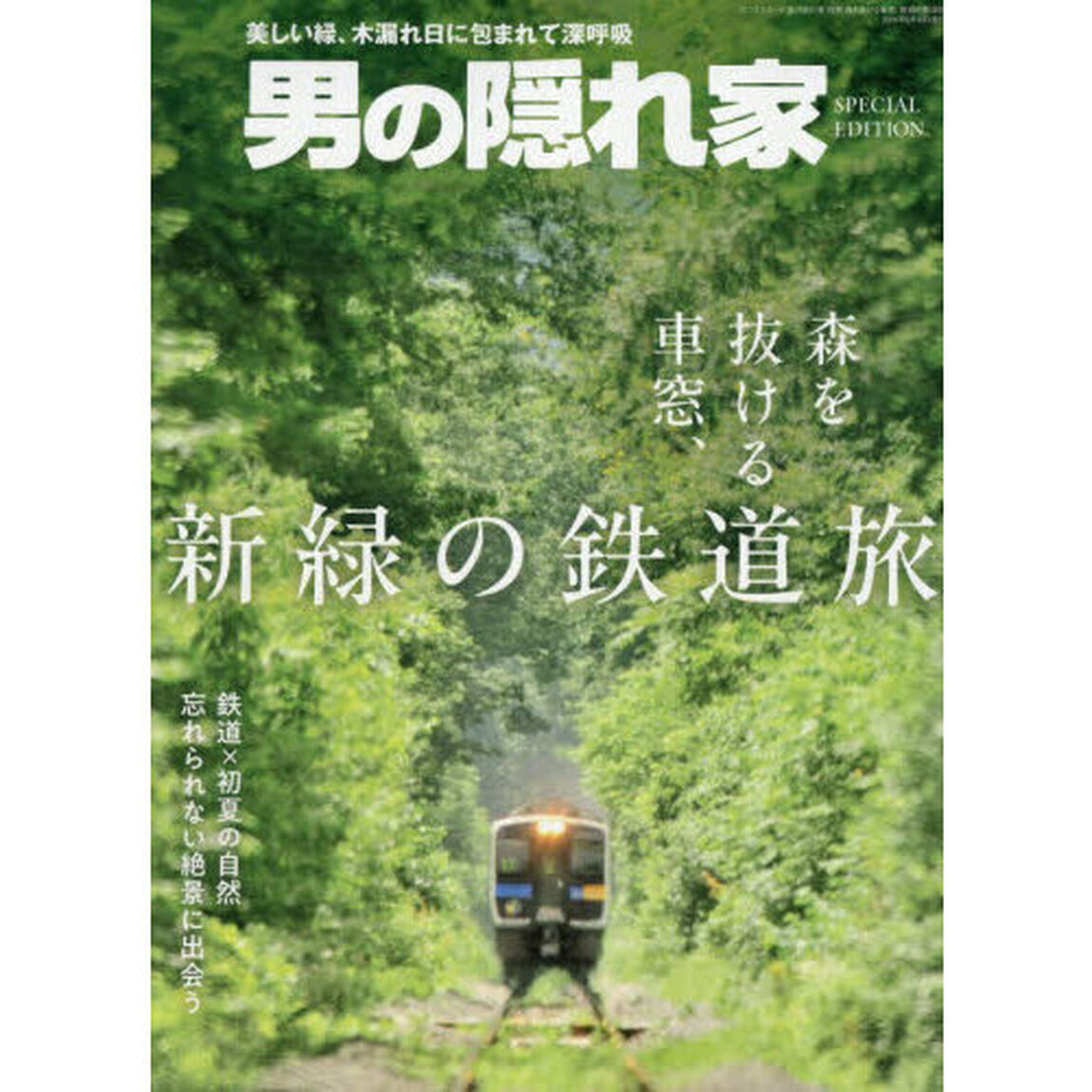 森を抜ける車窓、新緑の鉄道旅