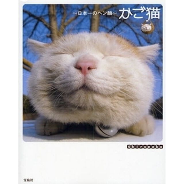 かご猫