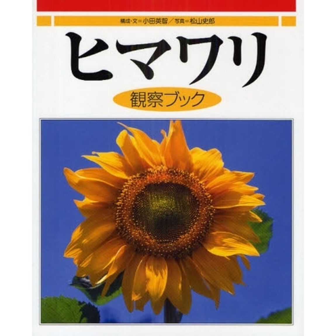 ヒマワリ観察ブック