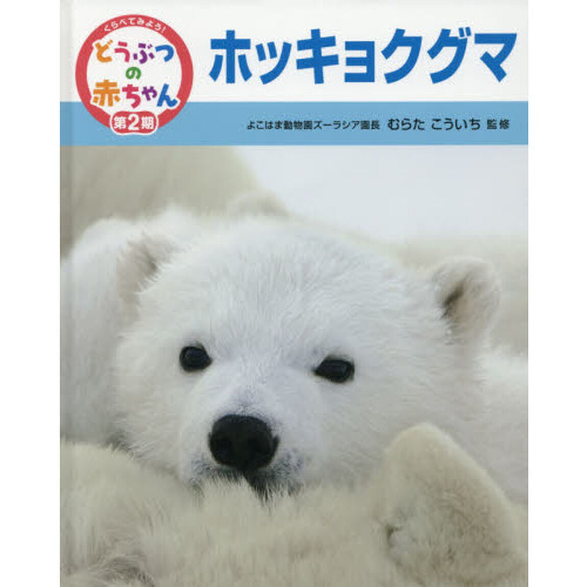 くらべてみよう！どうぶつの赤ちゃん　１９「ホッキョクグマ」