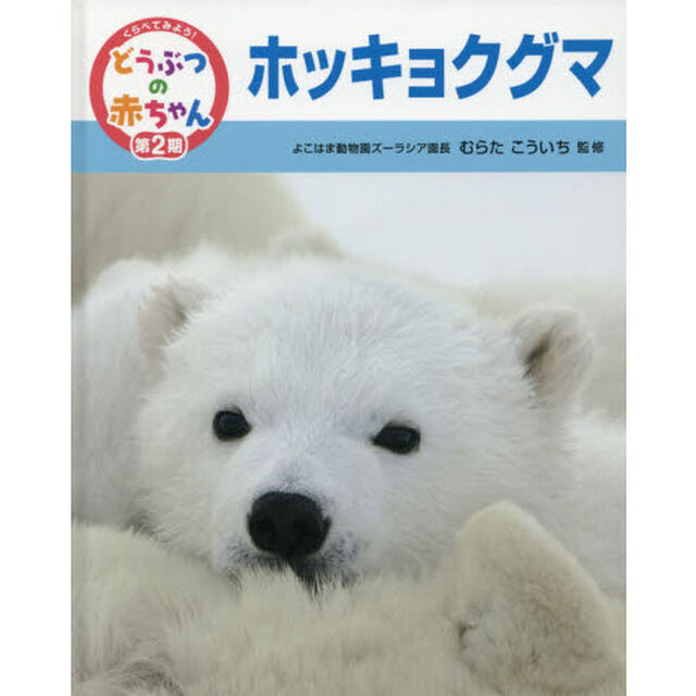 くらべてみよう！どうぶつの赤ちゃん　１９「ホッキョクグマ」