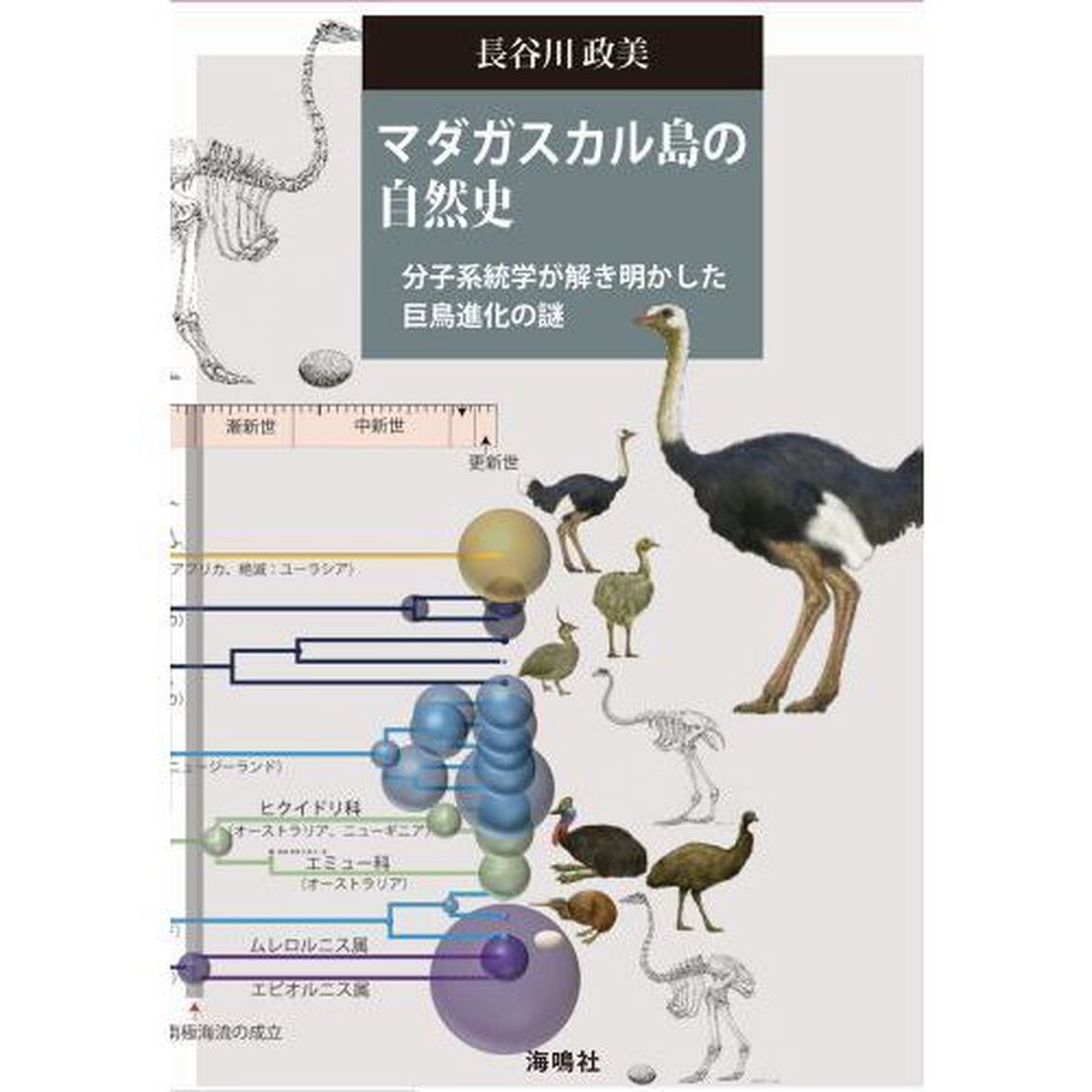 マダガスカル島の自然史　分子系統学が解き明かした巨鳥進化の謎