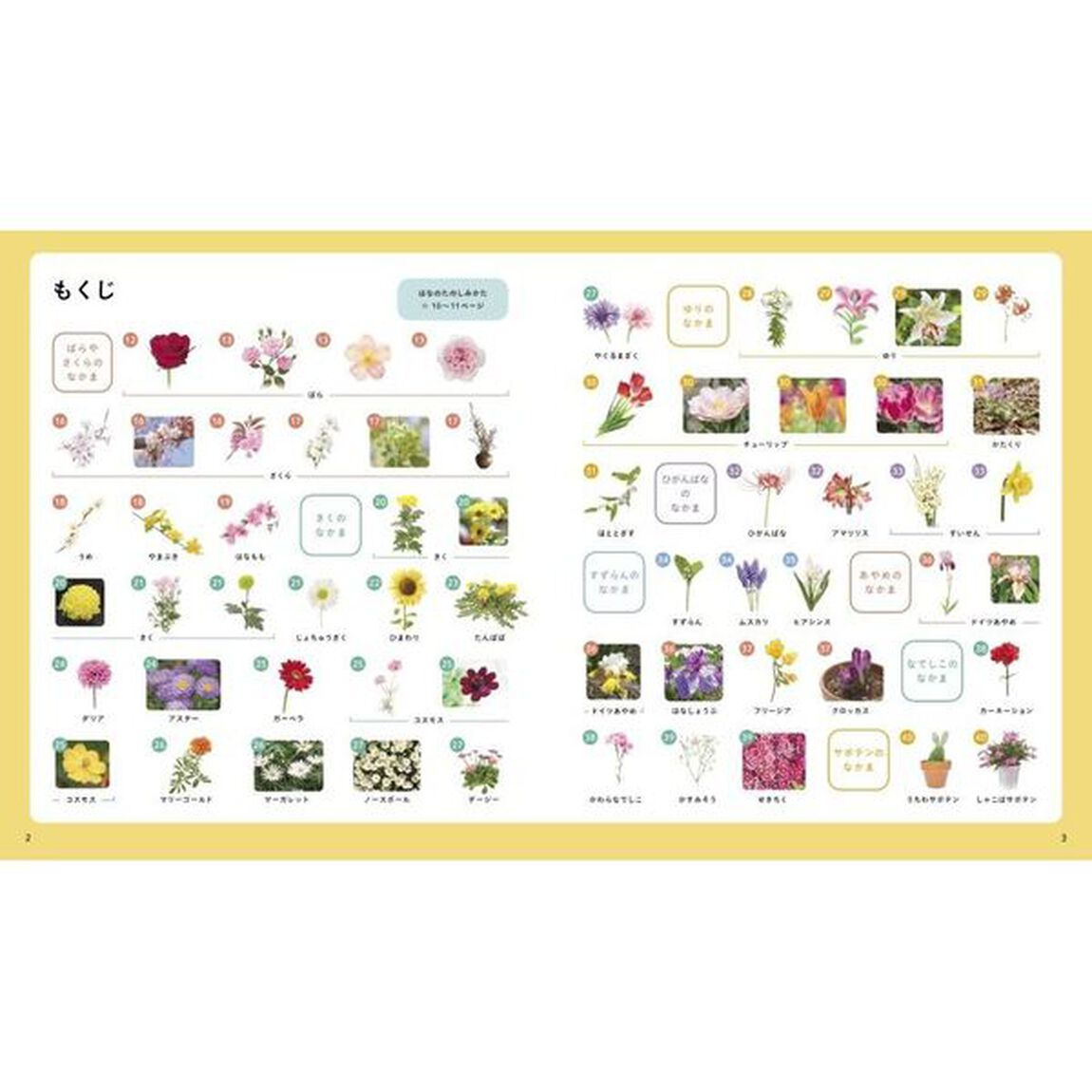 じぶんでよめるはなずかん　はなとそのなかま１６２