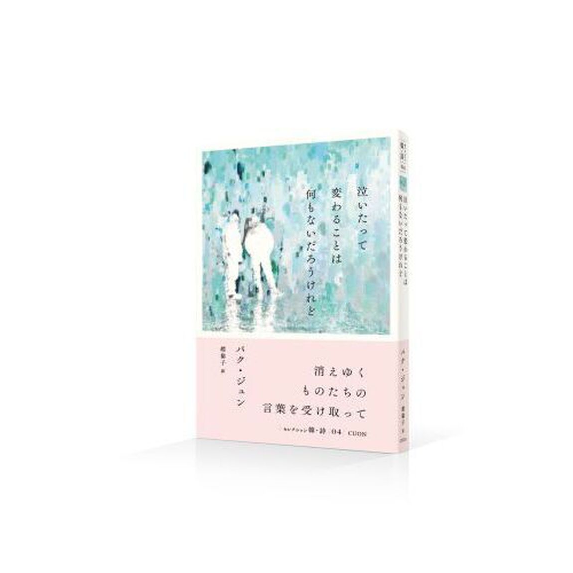 泣いたって変わることは何もないだろうけれど