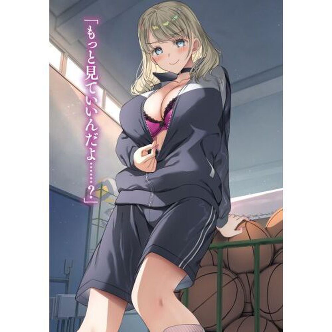 冴えない僕が君の部屋でシている事をクラスメイトは誰も知らない　２