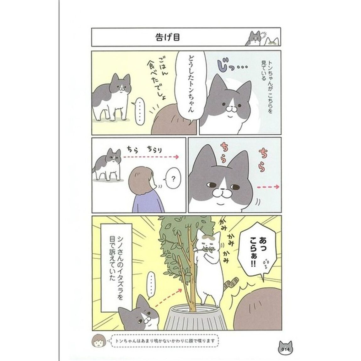 うちの猫がまた変なことしてる。4 (メディアファクトリーのコミックエッセイ)