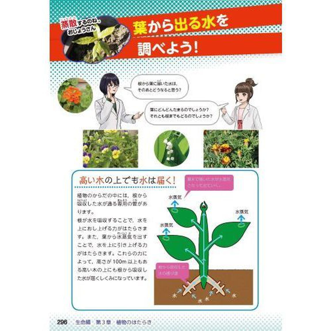小学総合的研究 わかる理科 実験・観察 新装版