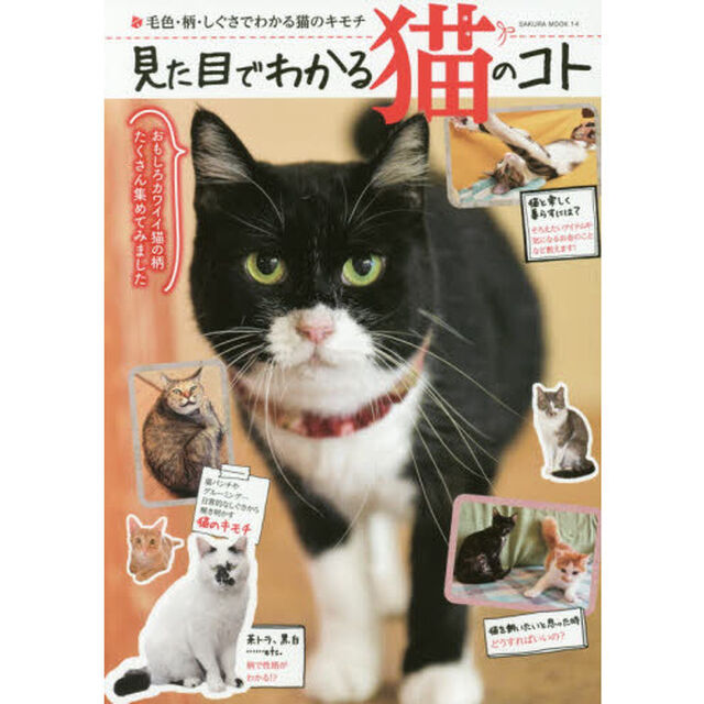 見た目でわかる猫のコト　毛色・柄・しぐさからわかる猫のキモチ