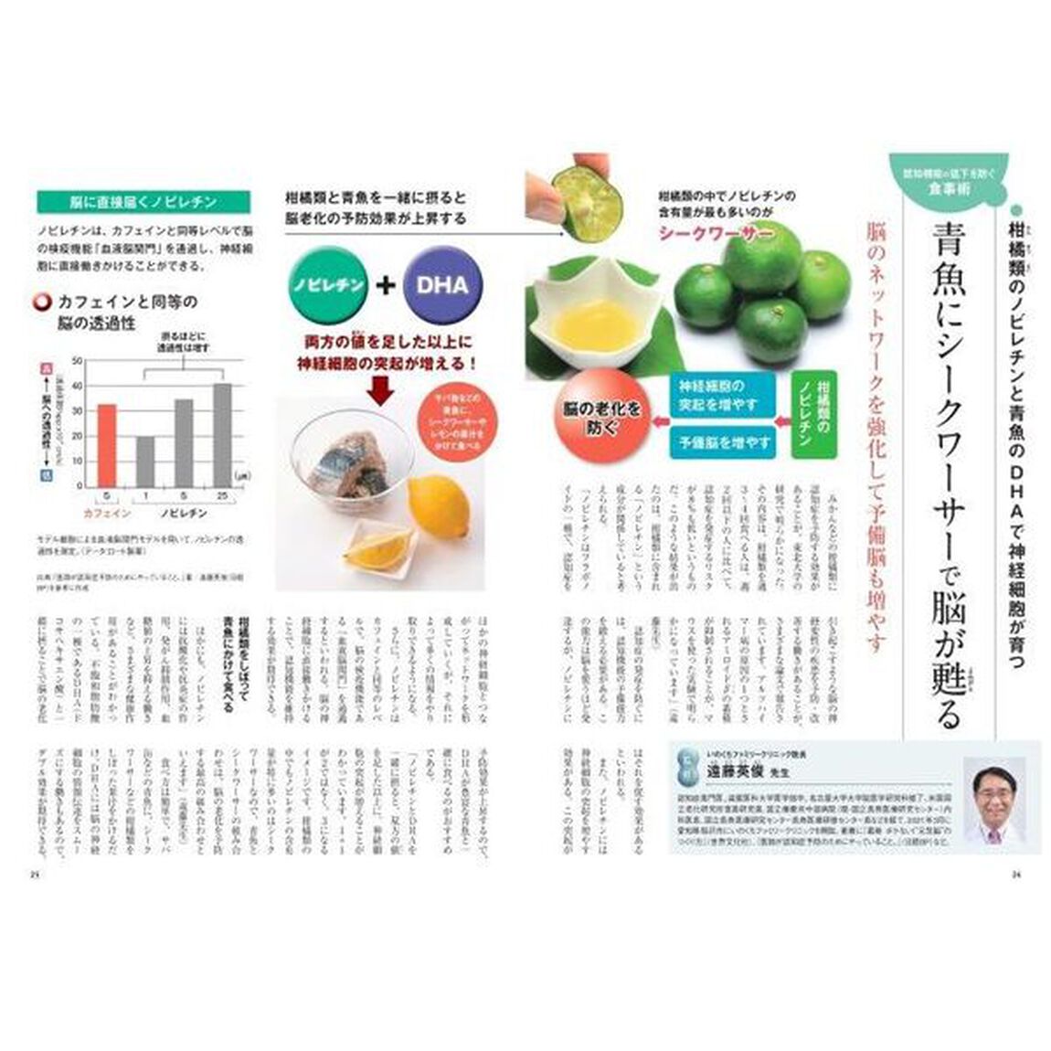 人生最後の１０年を元気に生きる！名医の食事術　天寿を全うする秘訣を専門医１４名が紹介！
