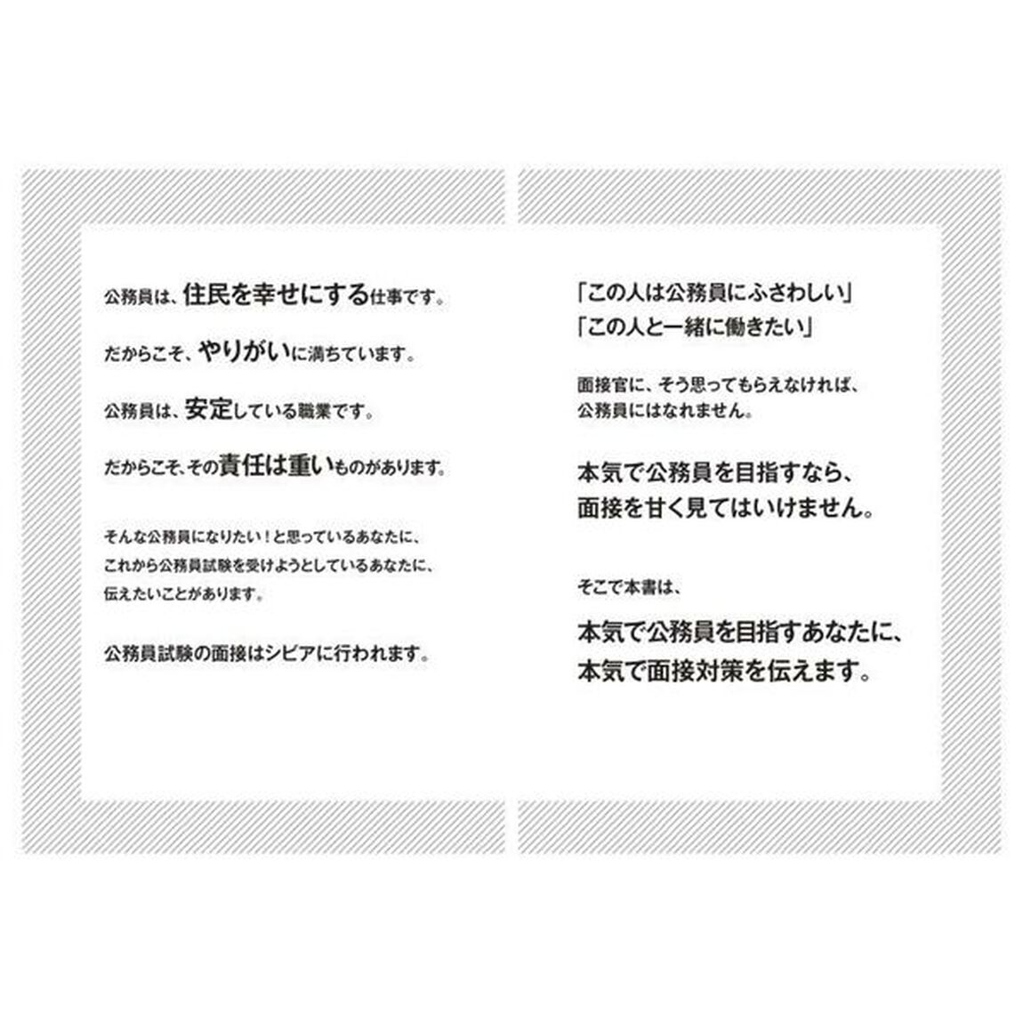 公務員試験は面接が９割　判定者が教えるリアル合格術